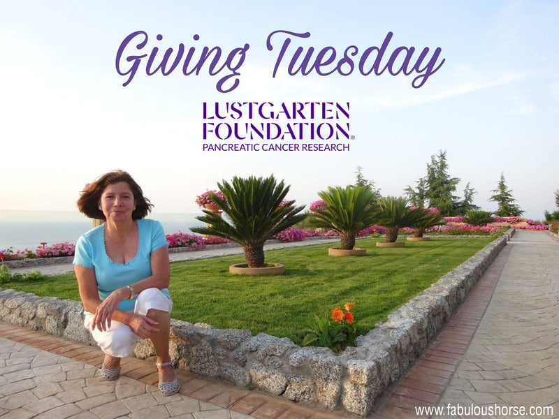 Giving Tuesday - Pancreatic Cancer Research
