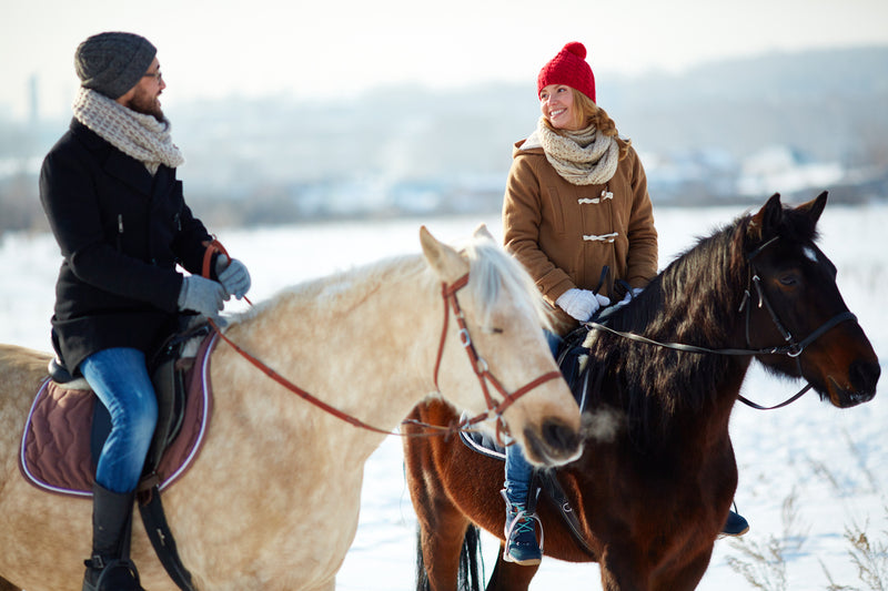 Planning a Winter Horseback Ride? Consider These Tips Before Jumping In The Saddle!