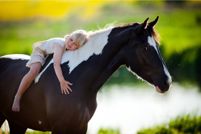Why Encouraging Your Child to Ride Horses is Wise